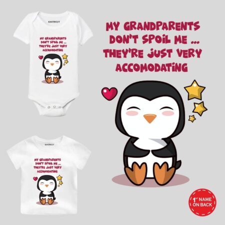 Penguins Print Baby Wear