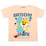 shrak and unicorn outfit