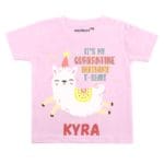 It’s My Quarantine Birthday Baby Outfit