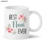 Best Nani Ever Mug