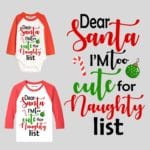 Dear Santa I am too cute