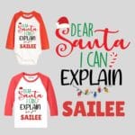 Dear Santa...I can Explain Outfit