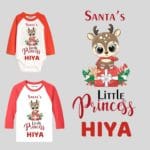 Santa's little Princess Baby Girl Outfit