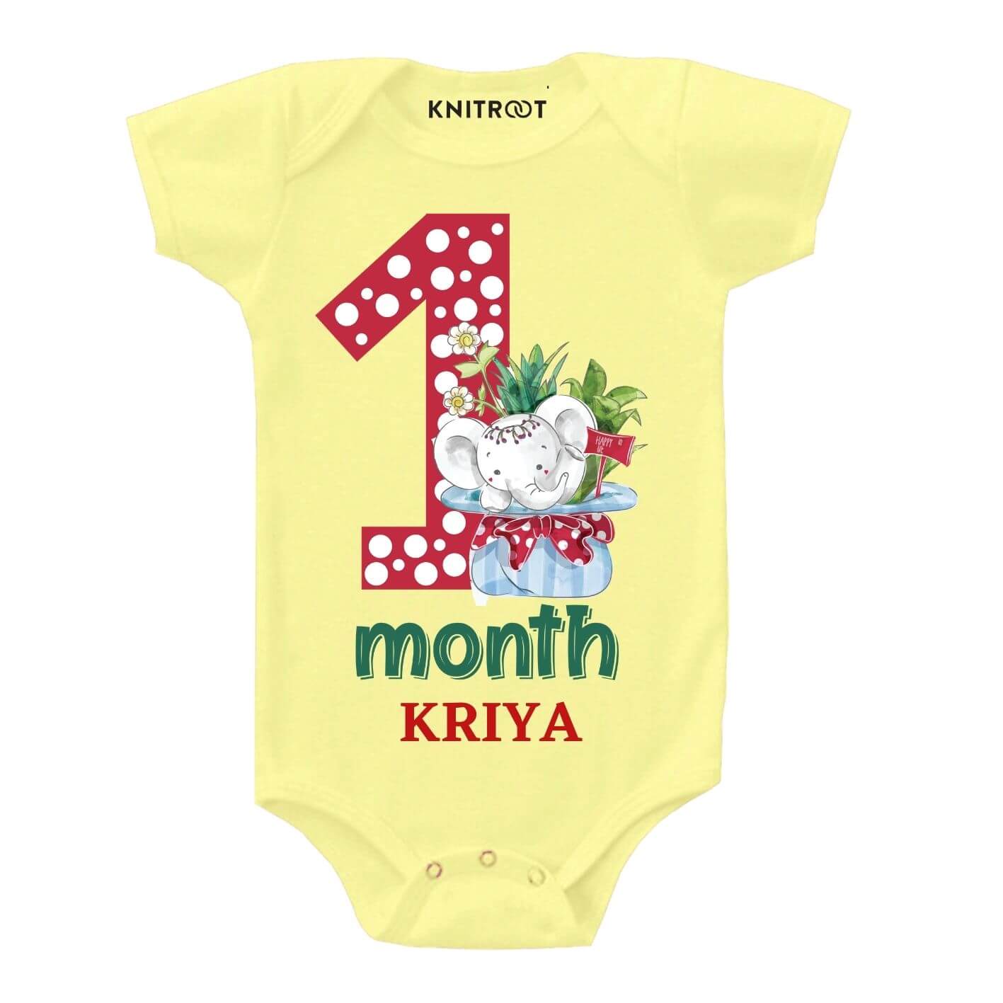 1 Month Birthday Baby wear