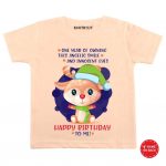 my first birthday t shirt
