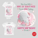baby's first birthday clothes