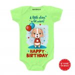 Lot Wiser Onesie & Tshirt