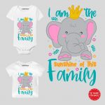 I am a sunshine Baby Wear