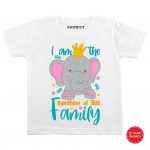 I am a sunshine Baby Wear