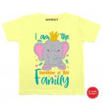 I am a sunshine Baby Wear