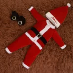 Santa baby costume