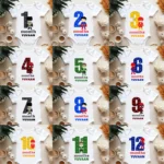 Super Hero Monthly Birthday Outfit Set