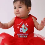 Dino Delight – 8 Months Babywear
