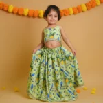 Blueberry Bird Lehenga Set