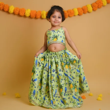 Blueberry Bird Lehenga Set